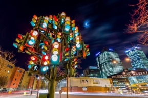 Дерево-світлофор в Лондоні є своєрідним символом міста